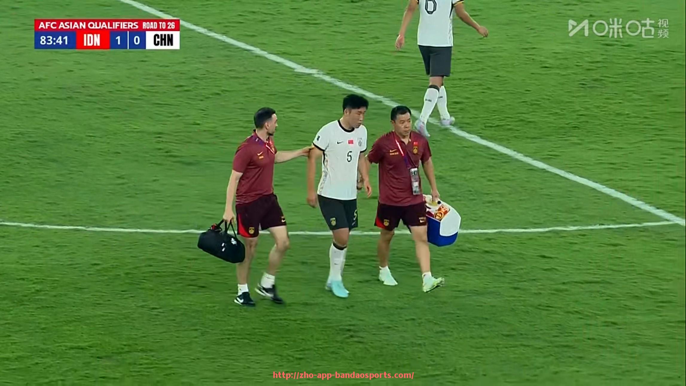 半岛体育app-如何购买德甲球队股份及投资流程介绍