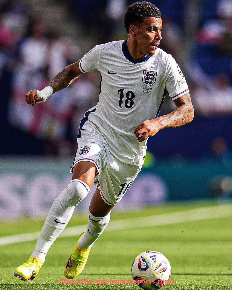 半岛体育app-NBA火箭队在MBA排行榜中的名次变化趋势